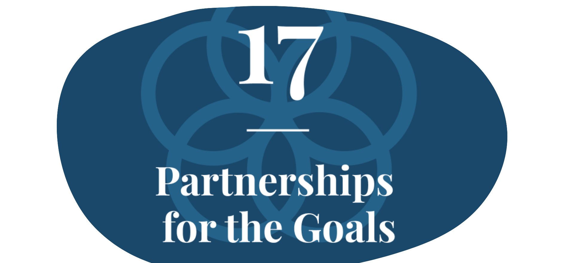 SDGs 17: Strengthen the means of implementation and revitalize the global partnership for sustainable development goals